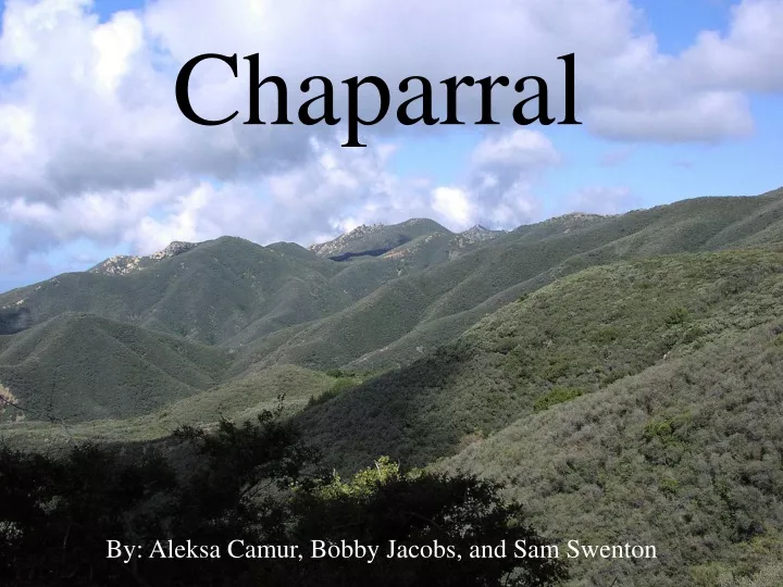 chaparral