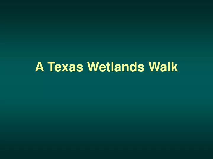 a texas wetlands walk
