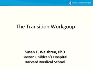 The Transition Workgoup