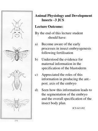 Animal Physiology and Development Insects –3 JCS Lecture Outcome: