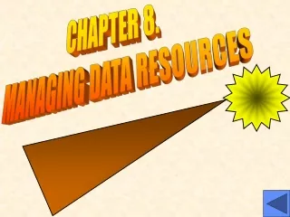 CHAPTER 8.   MANAGING DATA RESOURCES