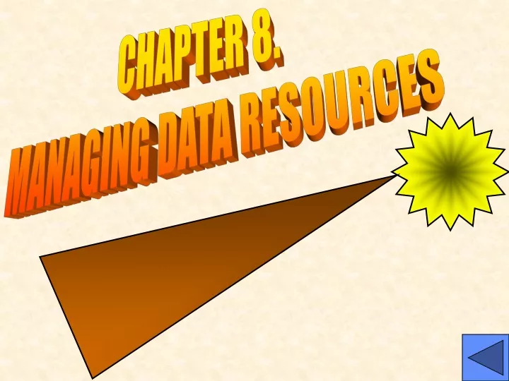 chapter 8 managing data resources