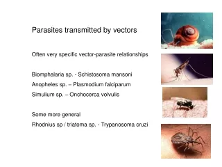 Parasites transmitted by vectors Often very specific vector-parasite relationships
