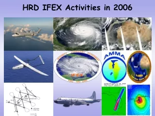 HRD IFEX Activities in 2006