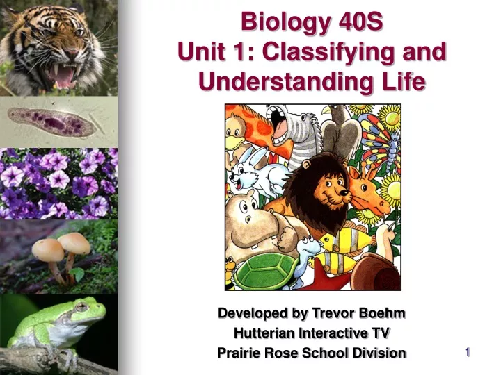 biology 40s unit 1 classifying and understanding life