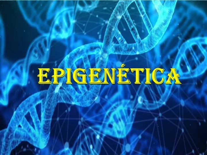 epigen tica