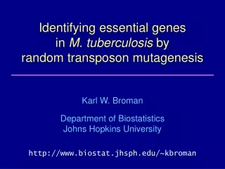 Identifying essential genes in  M. tuberculosis  by random transposon mutagenesis