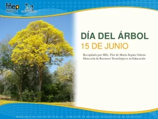 DÍA DEL ÁRBOL 15 DE JUNIO