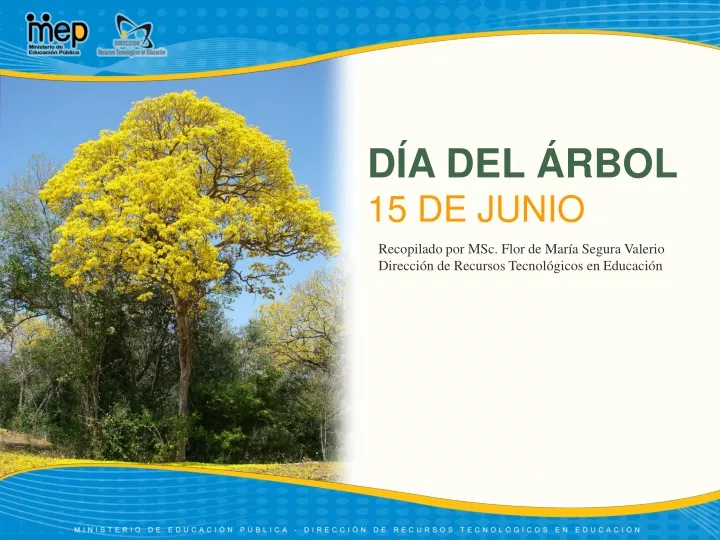 d a del rbol 15 de junio