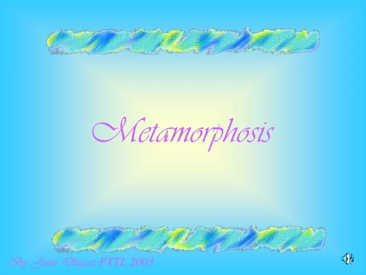 metamorphosis