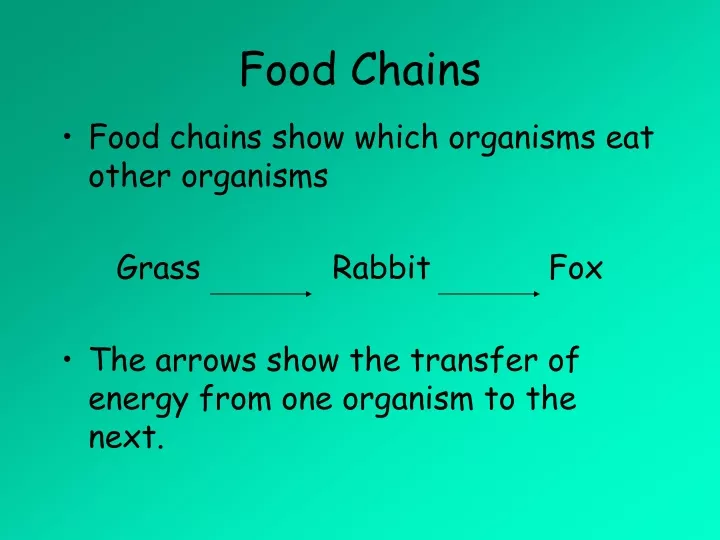 food chains