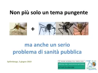 Non più solo un tema pungente