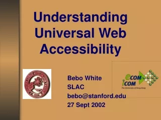 Understanding Universal Web Accessibility