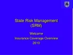 State Risk Management  (SRM)