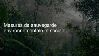 Mesures de sauvegarde environnementale et sociale