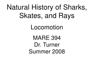 Natural History of Sharks, Skates, and Rays Locomotion MARE 394 Dr. Turner Summer 2008