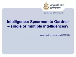 Intelligence: Spearman to Gardner  –  single or multiple intelligences?