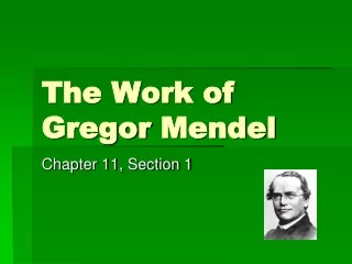The Work of  Gregor  Mendel