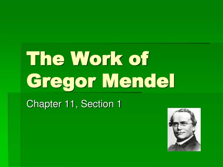 the work of gregor mendel