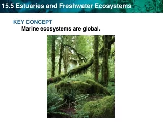 KEY CONCEPT  Marine ecosystems are global.