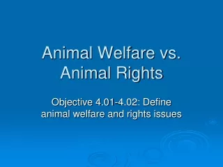 Animal Welfare vs. Animal Rights