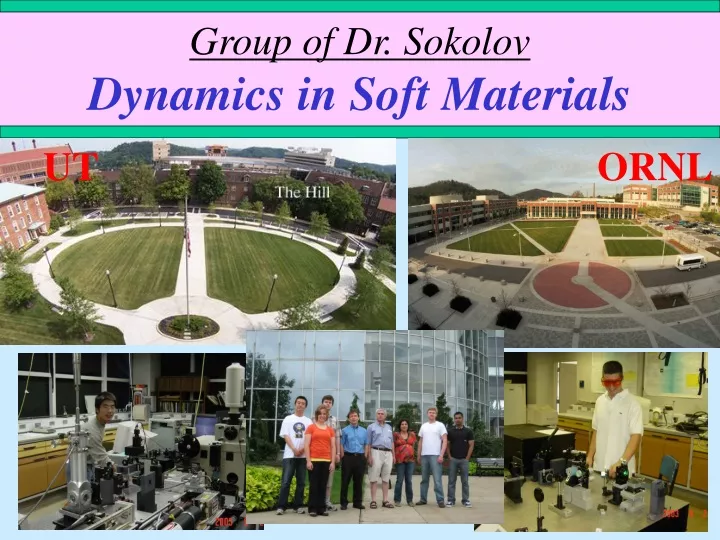group of dr sokolov dynamics in soft materials