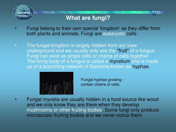 what are fungi