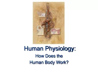 Human Physiology:
