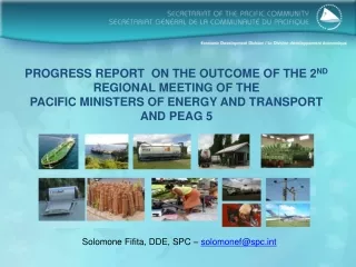 PROGRESS REPORT  ON THE OUTCOME OF THE 2 ND  REGIONAL MEETING OF THE