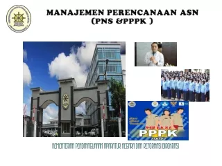 MANAJEMEn  PERENCANAAN ASN  ( pns  &amp;PPPK )