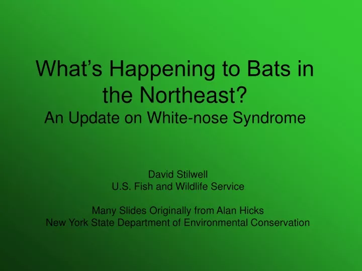 what s happening to bats in the northeast an update on white nose syndrome