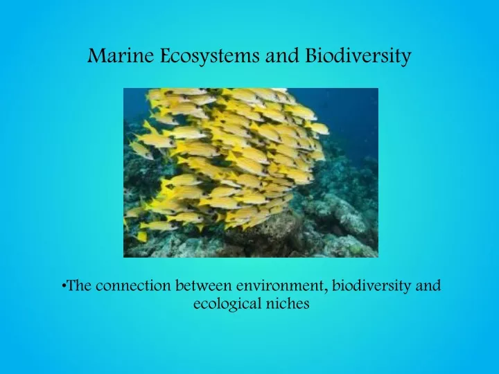 marine ecosystems and biodiversity