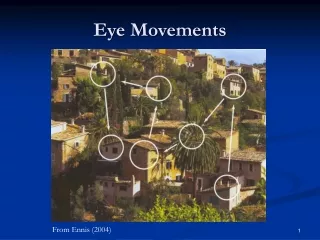 Eye Movements