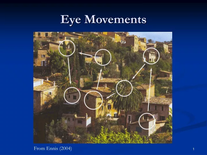 eye movements