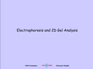 Electrophoresis and 2D Gel Analysis