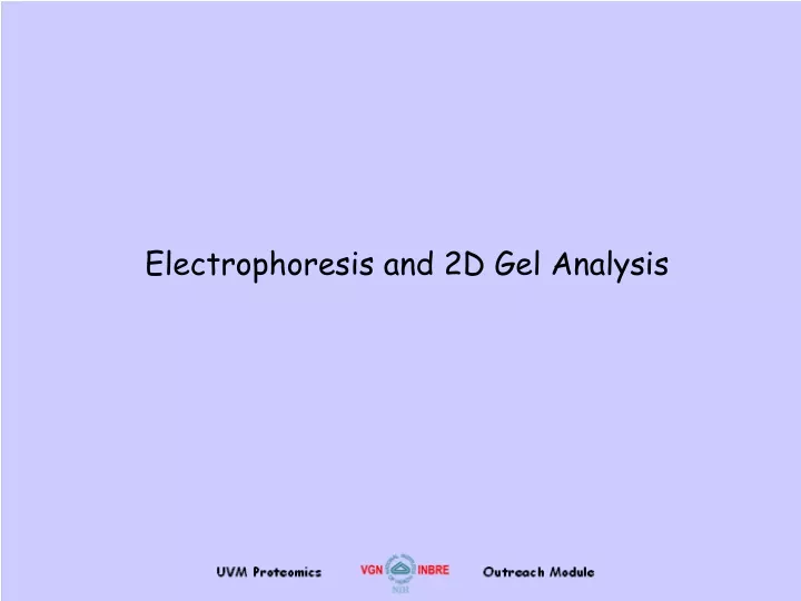 electrophoresis and 2d gel analysis