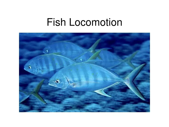 fish locomotion