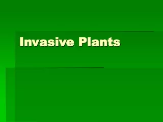 Invasive Plants