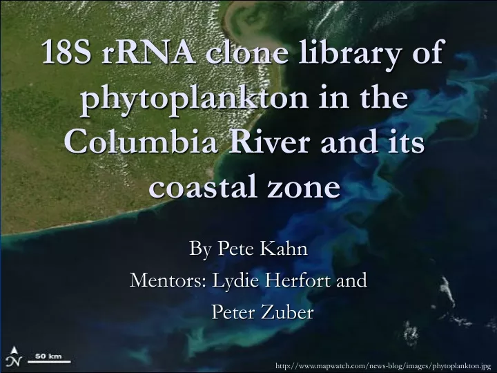 18s rrna clone library of phytoplankton in the columbia river and its coastal zone