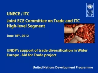 UNECE / ITC Joint ECE Committee on Trade and ITC High-level Segment June 18 th , 2012