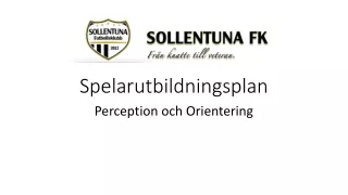 Spelarutbildningsplan