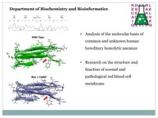 Department of Biochemistry and Bioinformatics