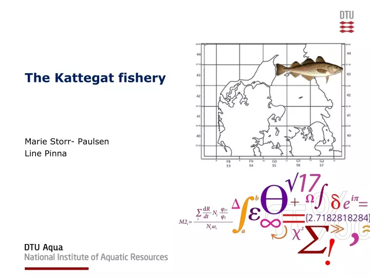 the kattegat fishery