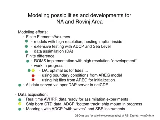 Modeling possibilities and developments for  NA and Rovinj Area  Modeling efforts: