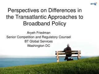 Perspectives on Differences in the Transatlantic Approaches to Broadband Policy