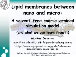 Lipid membranes between nano and micro: