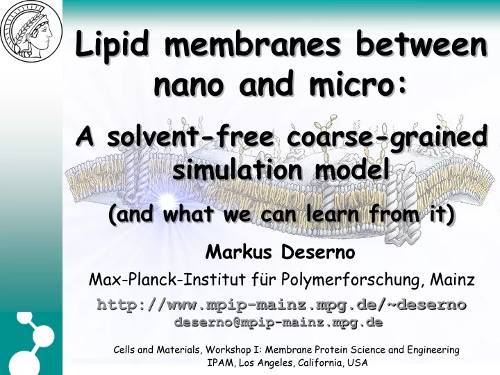lipid membranes between nano and micro