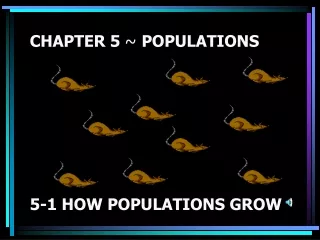 CHAPTER 5  ~  POPULATIONS