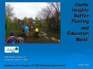 Castle Heights Buffer Planting  and Education Model