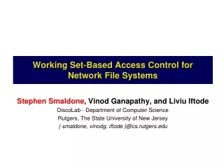 Working Set-Based Access Control for Network File Systems